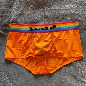 Mens medium Papi Pride trunk